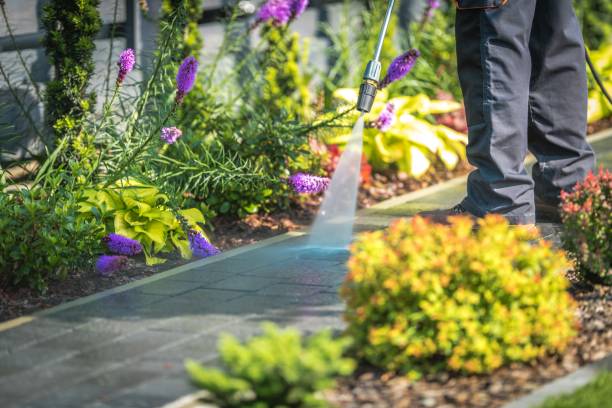 Best Pre-Holiday Cleaning  in Champion Heights, OH